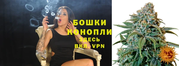 гашик Аркадак