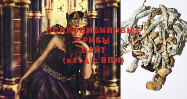 гашик Аркадак