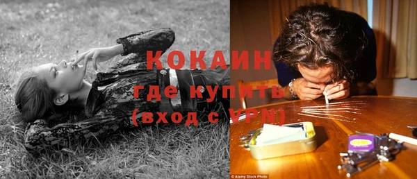гашик Аркадак