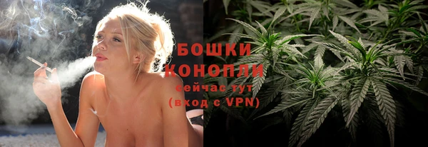 PSILOCYBIN Армянск
